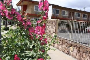 Fullerton Lodge Δωμάτιο φωτογραφία