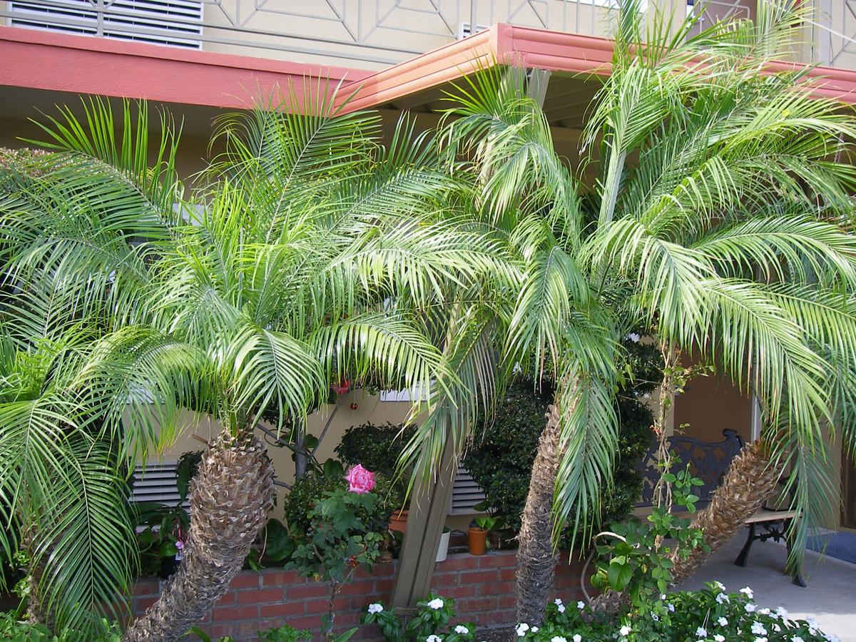 Fullerton Lodge Εξωτερικό φωτογραφία